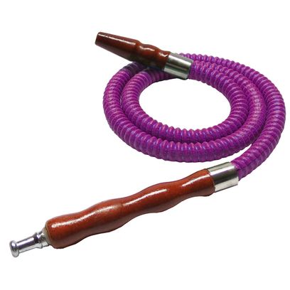 Mangueira-Tradicional-Pequena-Roxo