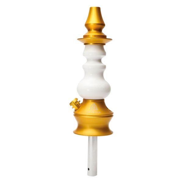 Stem-Invictus-Star-Dourado-com-Branco