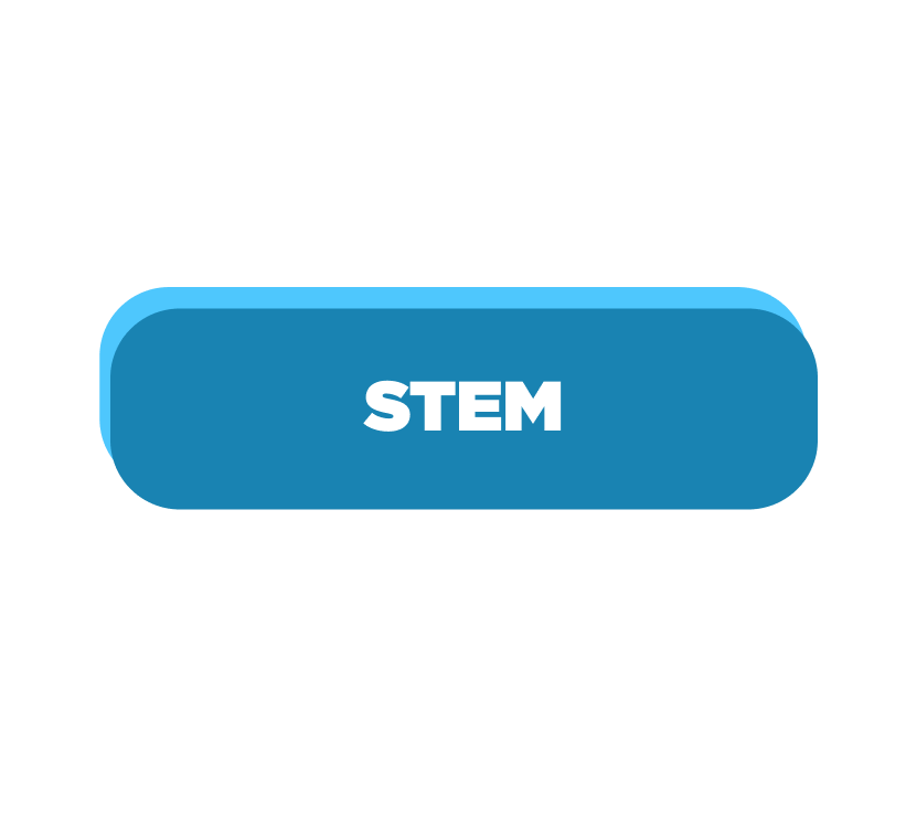 03_BULLET_STEM