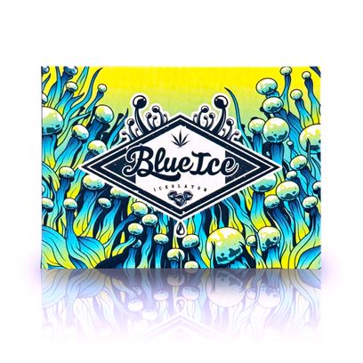 Piteira-de-Papel-A-Piteira-BAMF-Extra-Longa-Unidade-33176